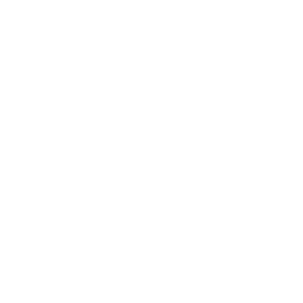 Logo-Blanc-Orso