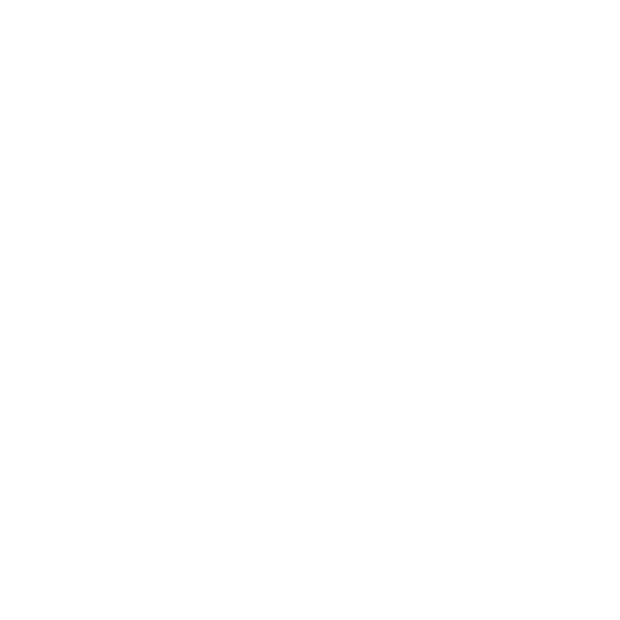 Logo-Blanc-Orso